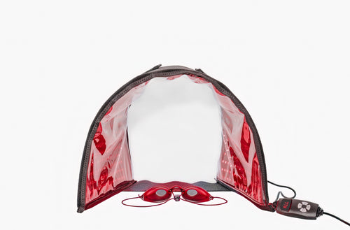 dome-like red light teraphy device with controler.